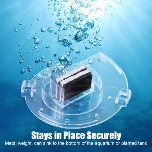 MiOYOOW Planaria Trap, Transparent Planaria Catcher Natural Aquarium Snail Trap for Aquarium Fish Tank Planaria Leech Small Snail...