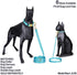 Dog Leash Cat Leash, 30+ Solid Color Nylon Dog Leash for Small, Medium and Large Dogs, Classic Collection Training Leash ((Large) 1 in. x 4ft, Oce...