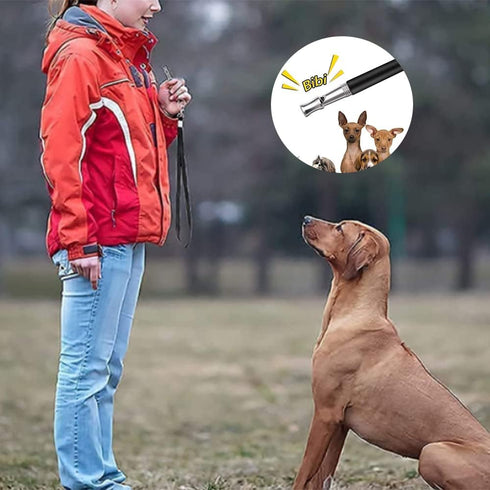 2 Pcs Dog Whistles with Lanyards High Pitch Frequency Silent Whistle Professional Recall Dog Training Whistles for Dog Training and to Recall Your...