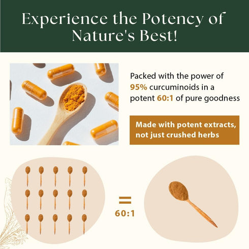 Sewanti Organic Curcumin Extract 95% with Black Pepper, Indian Long Pepper and Ginger 60 Vegan Capsules...