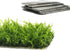 24 Pieces 3.1X3.1in (8X8cm) Aquarium Moss Mesh, 304 Stainless Steel Aquatic Moss Wall, Easy to Cut, for Fixing and Propagating Aquatic Mosses, DIY...