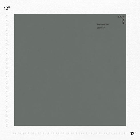 BACKDROP | Premium Interior Paint | Large Adhesive Paint Swatch | SILVER LAKE DAD - Slate Blue Gray | 12" x 12" Color Sample...
