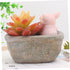 Yardwe 1pc Ceramic Planter Plant Pots Ceramic Cactus Planter Resin Planter Unique Pot Resin Pot Decorative Airplant Pot Cactus Pot Mini Container ...