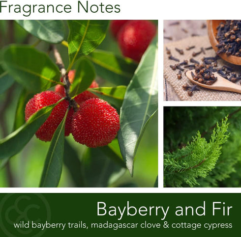 Colonial Candle Bayberry Fir Scented Jar Candle | 2-Wick Natural Soy Blend Wax Candle for Home | Relaxing Aromatherapy Candle Infused with Essenti...