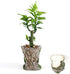 Funny Planter Head Planter with Drainage Hole Resin Plant Pot Pencil Holder Desk Storage(Mustache Man)...
