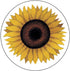 Lang Surrounded by Sunflowers Mug by Lowell Herrero, 14 oz., Multicolored...