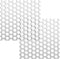 Sunshane 2 Pack 4 Inch Dryer Vent Grill Bird Guard Insert Stop Birds Nesting in Bathroom Exhaust Vent and Dryer Vent