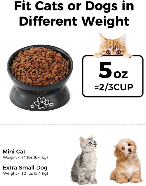 Elevated Cat Food Bowl, 5 Oz Ceramic Raised and Tilted Water Bowl, Anti Vomiting and Protect Pets' Spines Dishes for Small Dog, Fat Faced Cat, Kit...