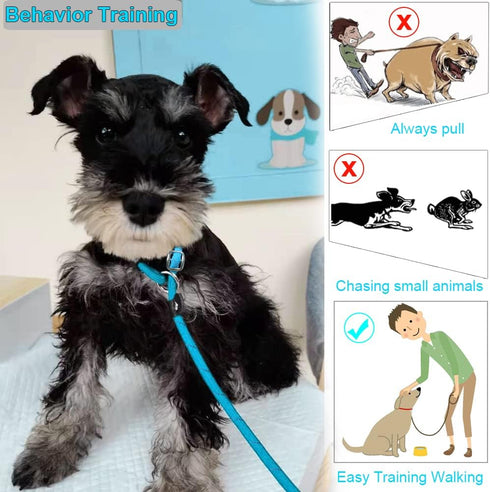 BTINESFUL 10FT / 15FT / 20FT Anti-Choke Slip Lead Dog Leash, Reflective 1/3” Rope Leash Long Training Lead for Small Medium Dogs blue...