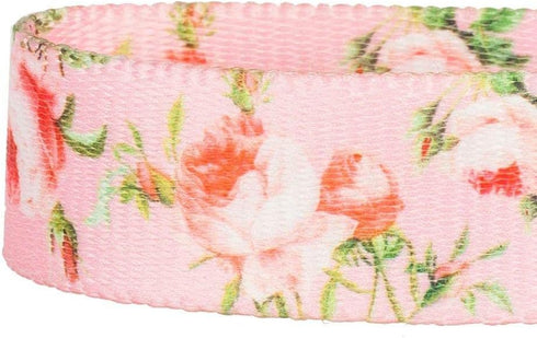 Blueberry Pet 9 Patterns Durable Spring Scent Inspired Floral Rose Baby Pink Dog Leash 5 ft x 3/4", Medium, Leashes for Dogs...