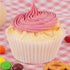 Standard White Cupcake Liners for Baking 200 Counts - Caperci Greaseproof Muffin Baking Cups for Wedding Birthday Party Baby Shower Festivals (Whi...
