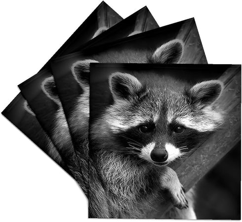 3dRose CST_173001_3 Baby Raccoon Black and White Digital Image Ceramic Tile Coasters, Set of 4...