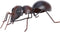 Tooarts Metal Yard Art Ant Garden Decor Indoor Outdoor Insect Tree Porch Patio Sculpture Black...