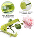 Portable Rose Thorn Remover, Thorn Stripper Tool, Leaf Stripping Tool, Stem and Leaf Remover Tool Metal Flower Stripper for Outdoor Gardening Flow...