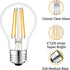 12 Volt Edison Bulb E26 12V LED Bulb Warm White 2700K 60W Equivalent, 12V 24V 36V Low Voltage Vintage Bulbs A19 12Volt LED Filament Bulbs for RV, ...