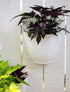 The HC Companies 8 Inch Garden Wall Planter - Plastic Hanging Plant Pot for Indoor Outdoor Flowers, Herbs, White...