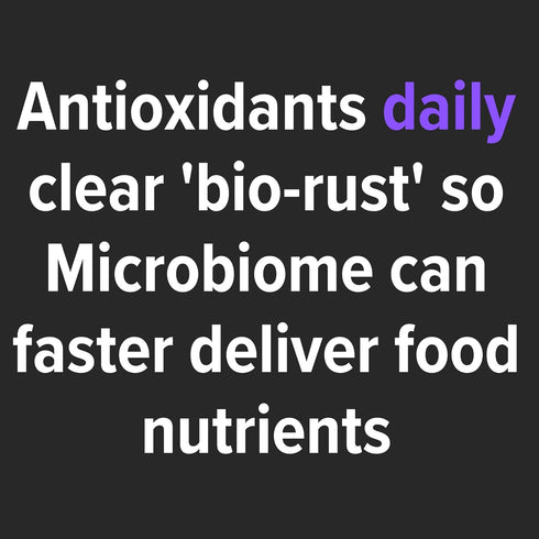 ?ulinary antioxidants (microbiome friendly, liquid fermented botanicals) (Oregano)...