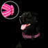 azuza Reflective Dog Collar,Soft Neoprene Padded Pet Collar with ID Tag Ring,Adjustable for Large Dogs,Hot Pink,L...