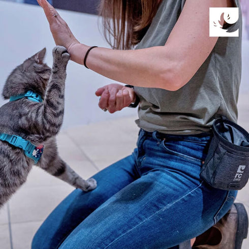 RC Pet Products Versatile, Convenient, Compact Essential Treat Bag | Multi-Stripes...