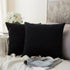 MIULEE Velvet Throw Pillow Covers 18x18 Inch, Pack of 2 - Black, Super Soft Decorative Square Cushion Cases Modern Luxury Home Decor for Sofa, Cou...
