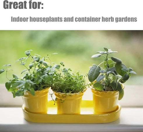 Organic Potting Soil Mix for All Indoor & Outdoor Small Containers Including Herbs, Vegetables, and Flowers 1 qt...