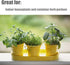 Organic Potting Soil Mix for All Indoor & Outdoor Small Containers Including Herbs, Vegetables, and Flowers 1 qt...