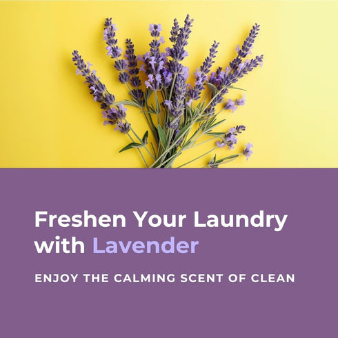 Detergent Sheets - 120 Loads 60 Sheets, Powerful with Bio-enzymes and Plant-Based, Travel Laundry, Eco Friendly Laundry Clean Strips for HE Machin...