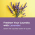 Detergent Sheets - 120 Loads 60 Sheets, Powerful with Bio-enzymes and Plant-Based, Travel Laundry, Eco Friendly Laundry Clean Strips for HE Machin...