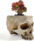 RMM Halloween Decoration Retro Human Skull Head Flower Pot Planter Bed Box Container Replica Home Bar Décor,Clear...