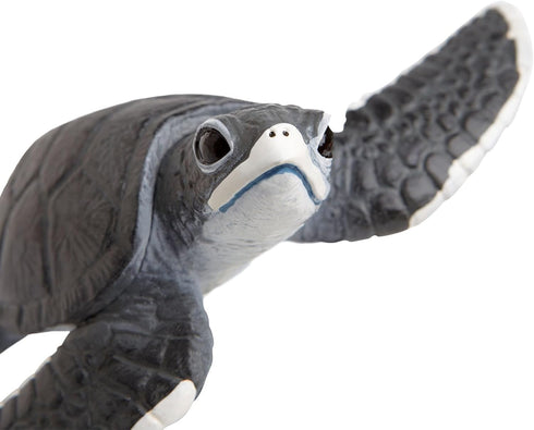 Safari Ltd. Baby Sea Turtle Figurine - Lifelike 5.5" Model Figure - Educational Toy for Boys, Girls, and Kids Ages 18M+...