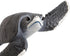 Safari Ltd. Baby Sea Turtle Figurine - Lifelike 5.5" Model Figure - Educational Toy for Boys, Girls, and Kids Ages 18M+...