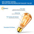 ANWIO Vintage Edison Light Bulb ST21 LED Filament Bulb 7W(60 Watt Equivalent) Dimmable 2500K (Amber Glow) Warm White E26 Medium Base, Amber Glass ...