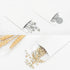 200 Pack Small Coin Envelopes Kraft Paper Seed Envelopes Mini Parts Small Items Stamps Storage Packets Envelopes Self-Adhesive for Garden, Office ...