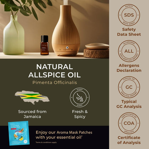 Gya Labs Allspice Essential Oil for Diffuser & Skin - 0.34 Fl Oz - 100% Pure Natural Allspice Oil for Skin, Homemade Items & Candle Making Scent...