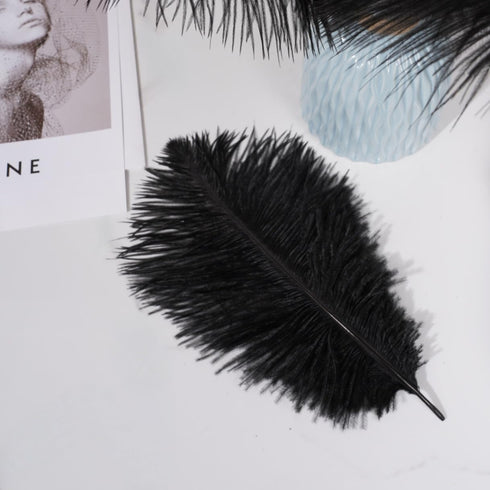 Shekyeon Black 10-12inch 25-30cm Ostrich Feather Home Decoration DIY Craft Pack of 10...