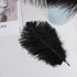 Shekyeon Black 10-12inch 25-30cm Ostrich Feather Home Decoration DIY Craft Pack of 10...