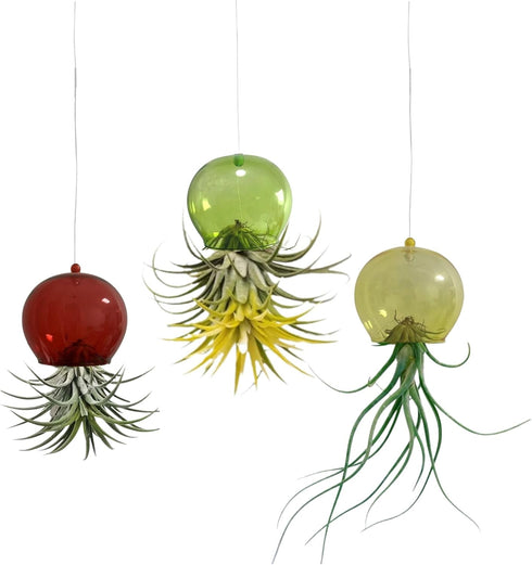 3 Pack Glass Air Plant Holder, Hanging Air Plant Stand Jellyfish Octopus Decorative Display Container for Home Office Wall Garden (3PCS)...