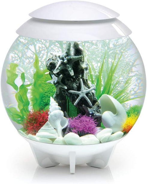 BiOrb 46133.0 Sea Shell Set 3 White Aquariums...