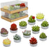 Succulent Cactus Tea Light Candles Cute Plant Shaped Bulk for Birthday Party Wedding Baby Bridal Shower Favor Decor Hostess Gift Sets (12 PCS)...