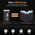 HW 9V Rechargeable Lithium Batteires, 1 Pack USB Type-c 9 Volt Rechargeable batteries, 1.5 H Fast Charge 1000 cycles with Long Last for Smoke Dete...