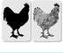 2 Pcs Large Layering Coloring Dominique Chicken Stencil for Painting 11.7×8.3 inches Reusable Layered Painting Stencils for Painting on Wood, Canv...