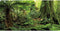 AWERT 72x16 inches Forest Terrarium Background Stone Green Huge Tree Reptile Habitat Background Tropical Rainforest Aquarium Background Polyester ...