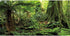 AWERT 30x18 inches Forest Terrarium Background Stone Green Huge Tree Reptile Habitat Background Tropical Rainforest Aquarium Background Durable Po...