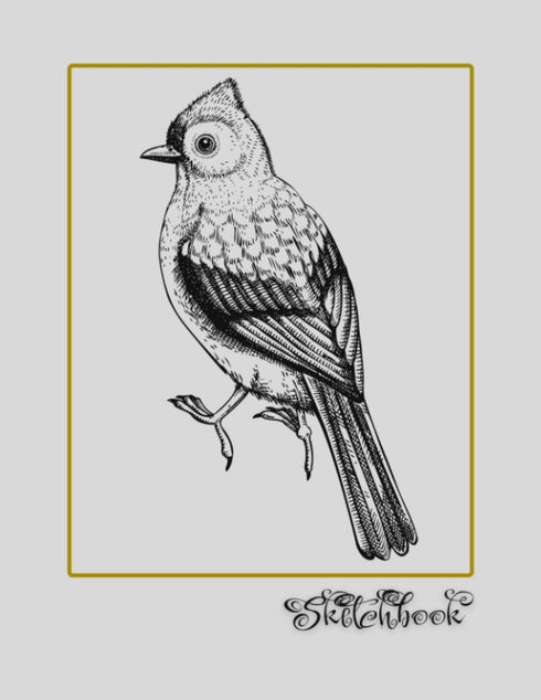 Sketchbook: Bird Sketch, Large 8.5" x 11", 110 Pages, Perfect for Everyone, Crayons, Pencils, Drawing and Sketching...