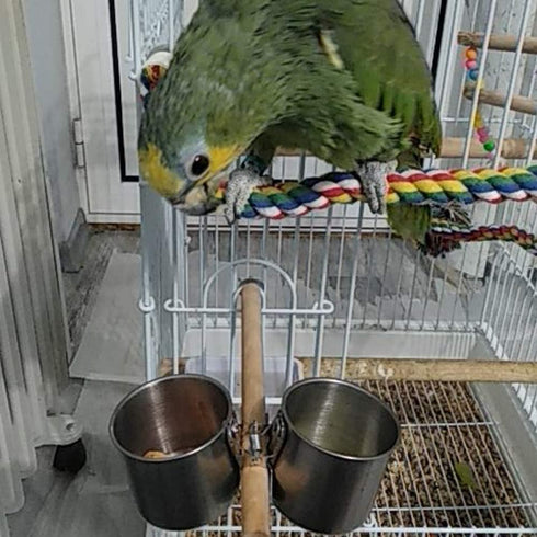 Parrot Feeding Cups Hanging Pet Animal Stainless Steel Birdcage Bowls Bird Bowls for Cage Parakeet Bird Cage Accessories Suitable Small and Medium...