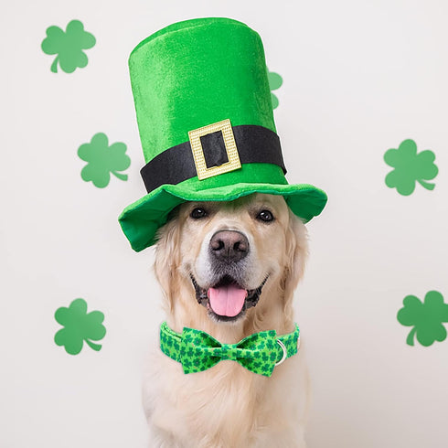 2023 New St.Patrick's Day Dog Collar with Bow Tie-Babole Pet, Cute Clover Male Dog Collar with Safety Metal Buckle Adjustable Puppy Collars for Sm...