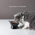 Nihow Elevated Cat/Dog Bowls: 5 Inch Ceramic Raised Cat Food & Water Bowl Set for Protecting Pet's Spine - Feeding & Watering Supplies for Pets - ...