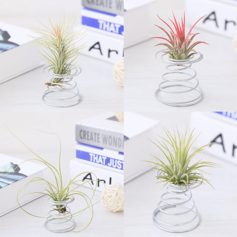 20 Pack Air Plant Stand Container Tillandsia Holder, Stainless Steel Tillandsia Container for Live Tropical Plant Home Office Desktop Decoration S...