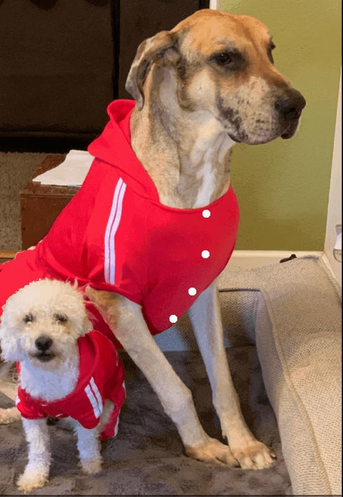 Cute Dog Hoodie Tracksuit Sweater Coat Jacket Winter Pajamas Clothes Clothing Jumpsuit 4-Legs Red for Cat Puppy Small Medium Big All Type Dogs (6X...