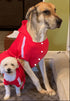 Cute Dog Hoodie Tracksuit Sweater Coat Jacket Winter Pajamas Clothes Clothing Jumpsuit 4-Legs Red for Cat Puppy Small Medium Big All Type Dogs (6X...